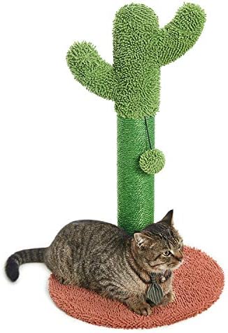 Catinsider Kaktus Mačka Češanje sa Visi Loptu za Sve Mačke